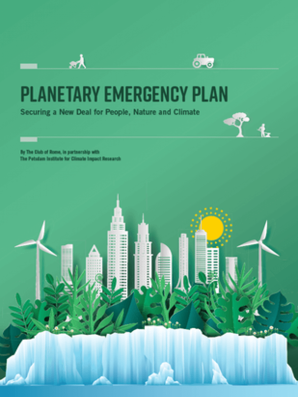The Planetary Emergency Plan<span> – 2019</span>