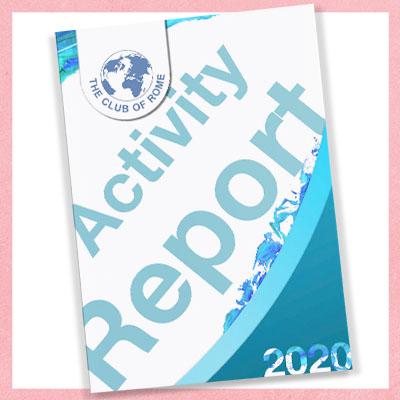 2020 Activity Report Cover