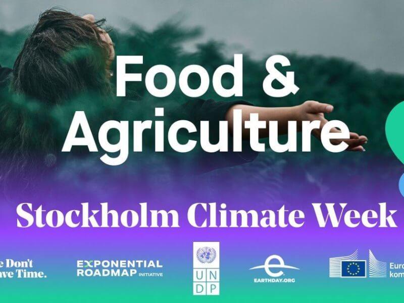 Beyond Growth at Stockholm Climate Week
